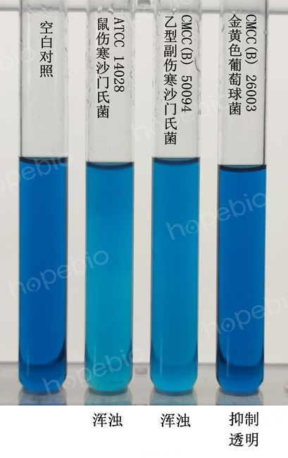 质控菌株在mRV肉汤培养基上的生长情况