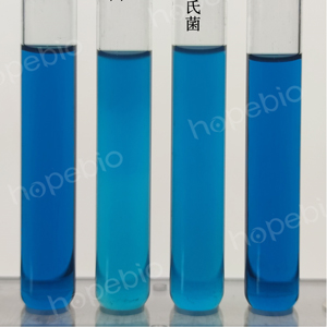 质控菌株在mRV肉汤培养基上的生长情况