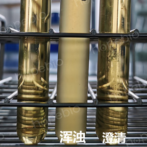 质控菌株在LIM培养基中的生长特征