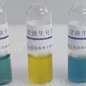 不同志贺氏菌属在甘油生化管的培养结果/