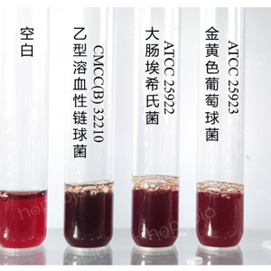 质控菌株在匹克氏肉汤基础B的生长结果