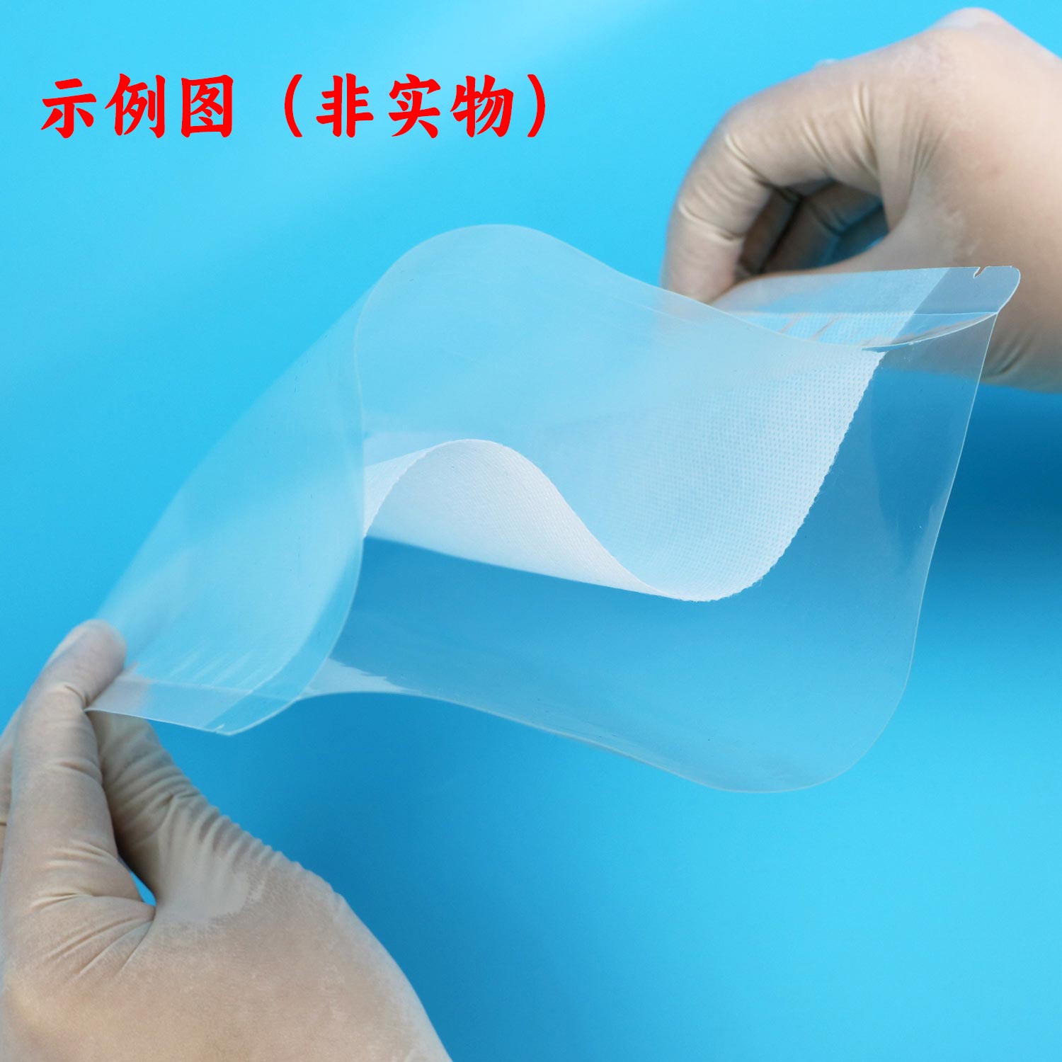 含225ml BPW均质袋（带整张滤膜）